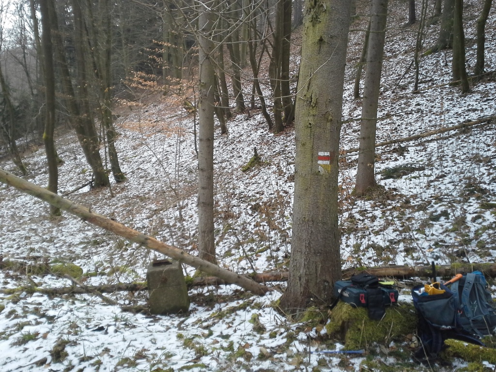 Kříž Brdatka u Markovy studánky 2018 (2)