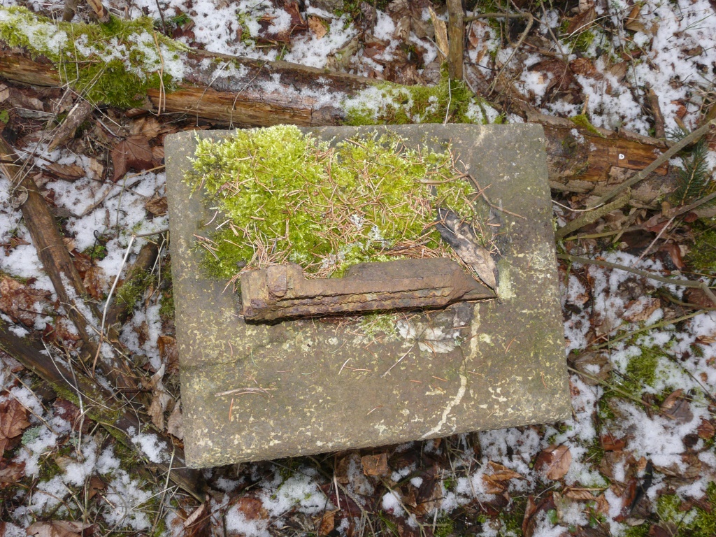 Kříž Brdatka u Markovy studánky 2018 (4)