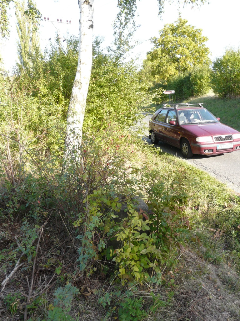 Osazení křížku u Lidic 2018 (17)