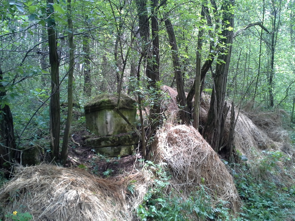 20140504_121225