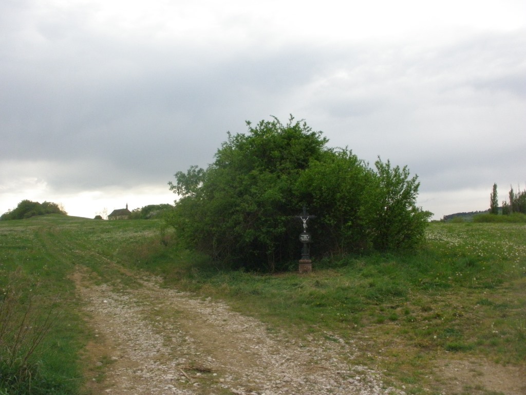 P5050008