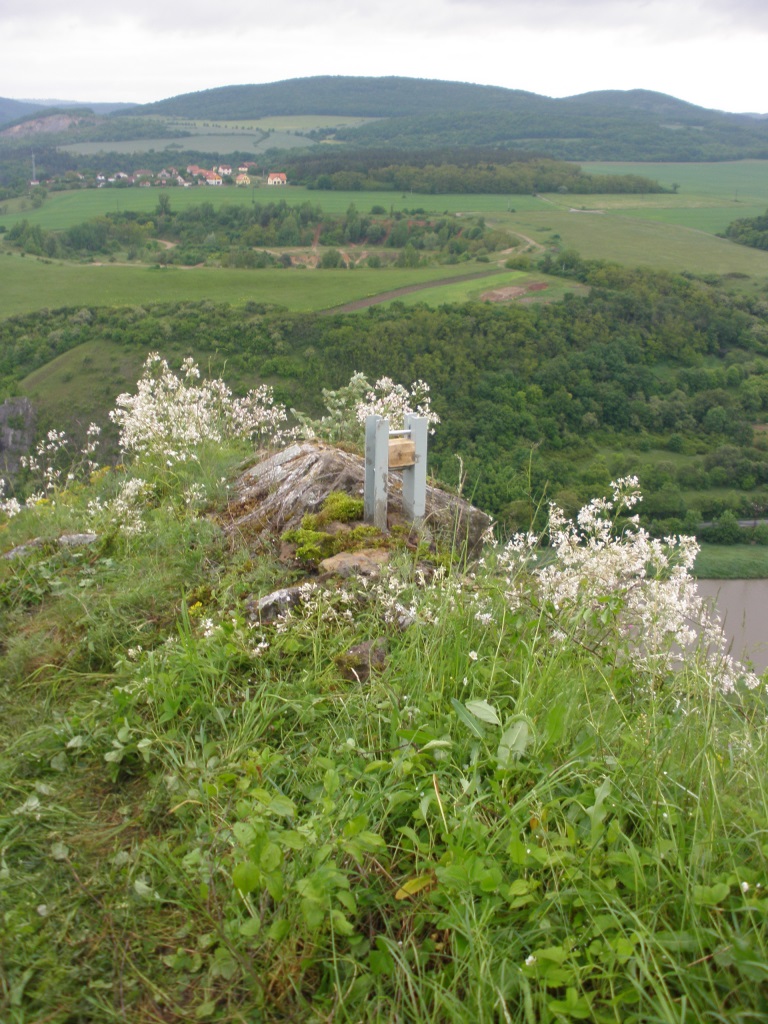 P5260002