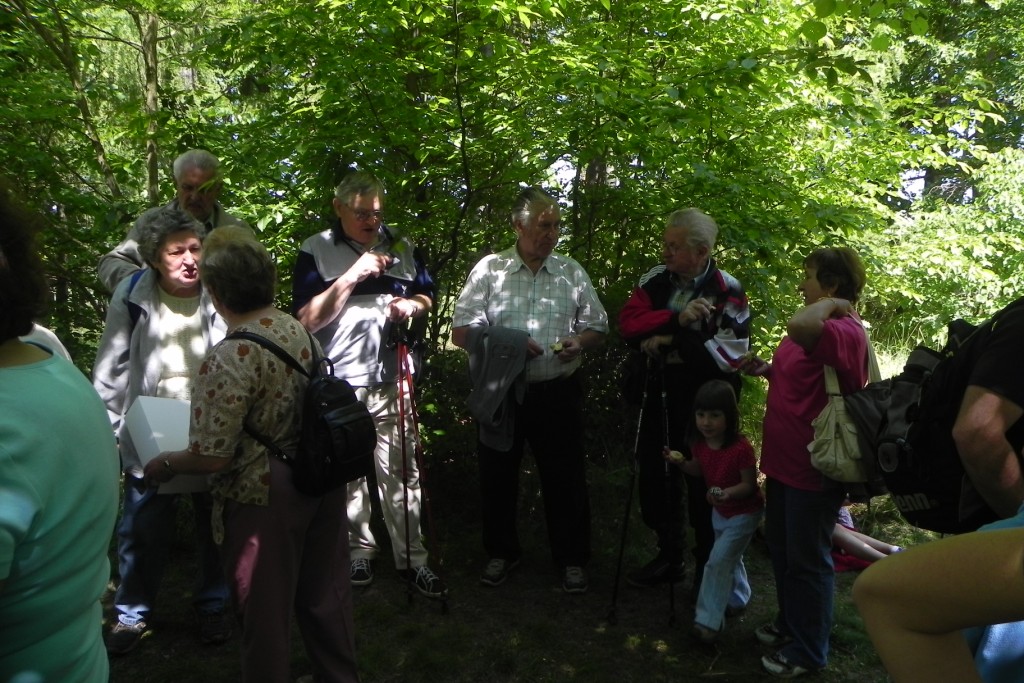 Kříž na Hudlickém vrchu 2012 (62)